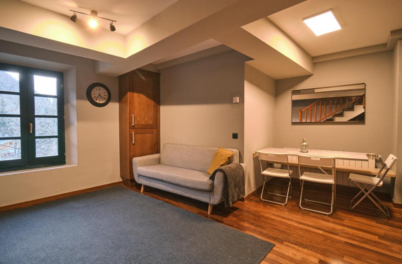 Magnolia Can Mateu, Bonito Apartamento Centrico Con Parking Camprodon Dış mekan fotoğraf